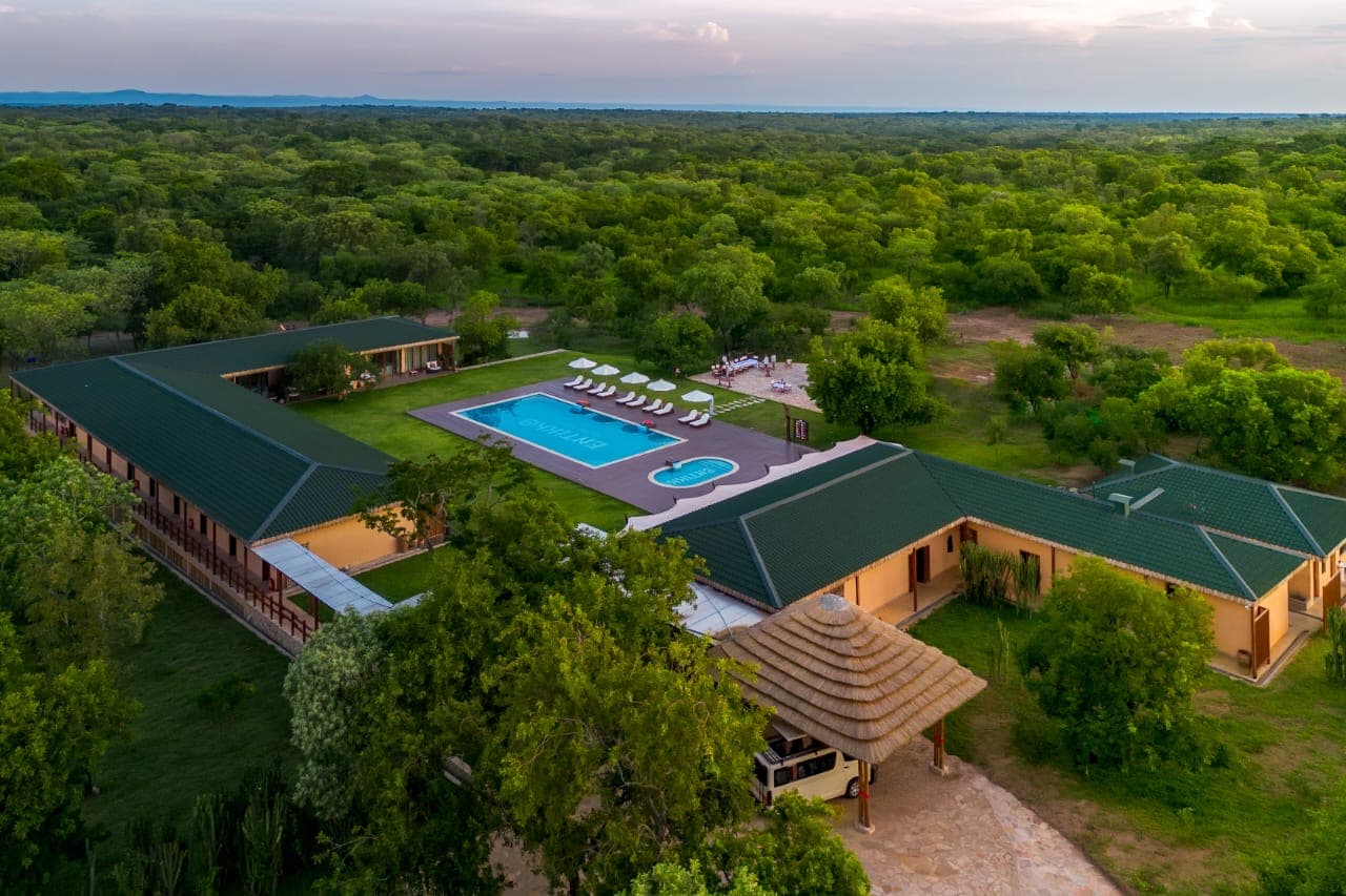 Entikko Safari Lodge from the air — pool and green roofs set into the bush