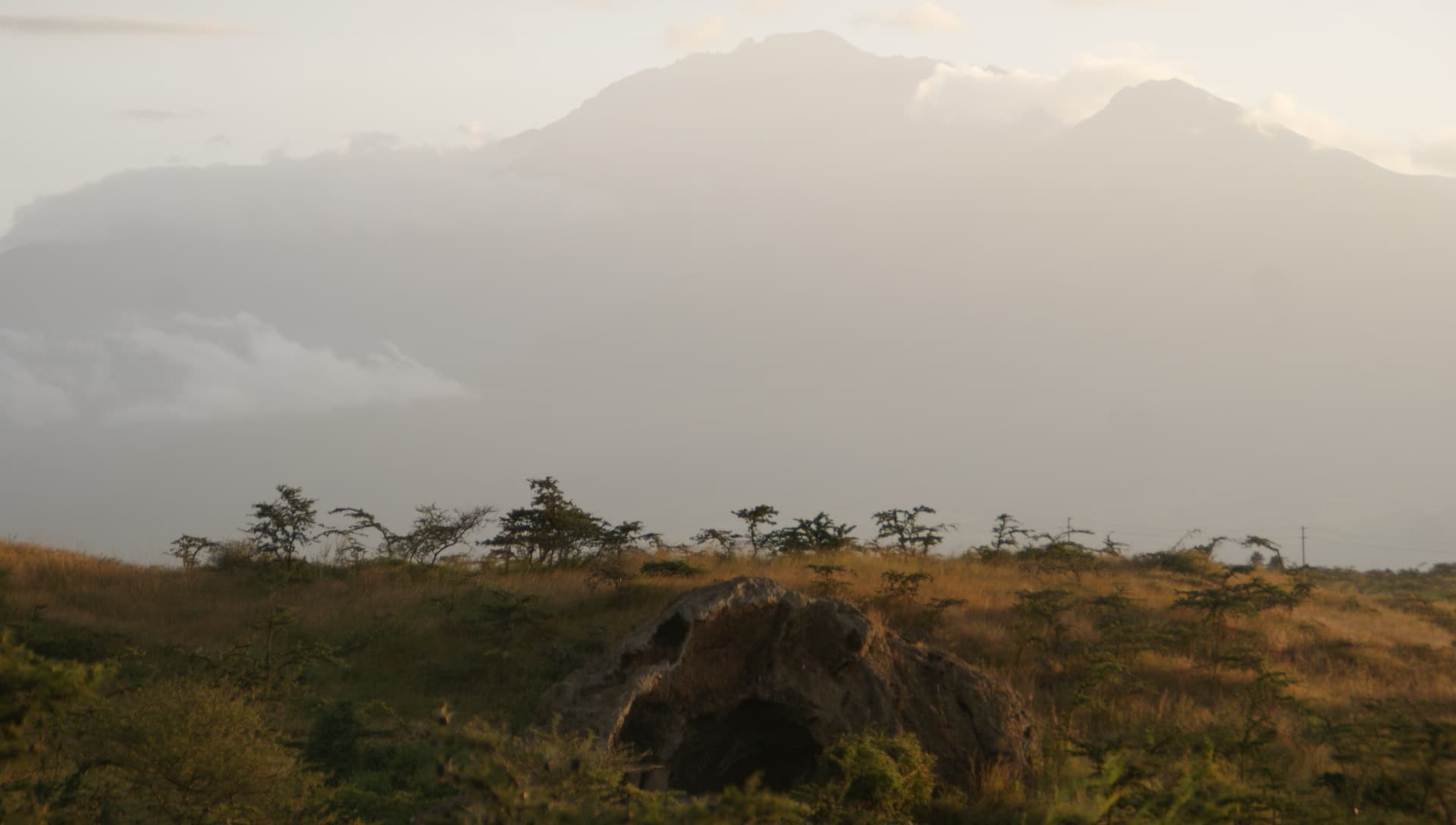 Meetings under the Arusha sun