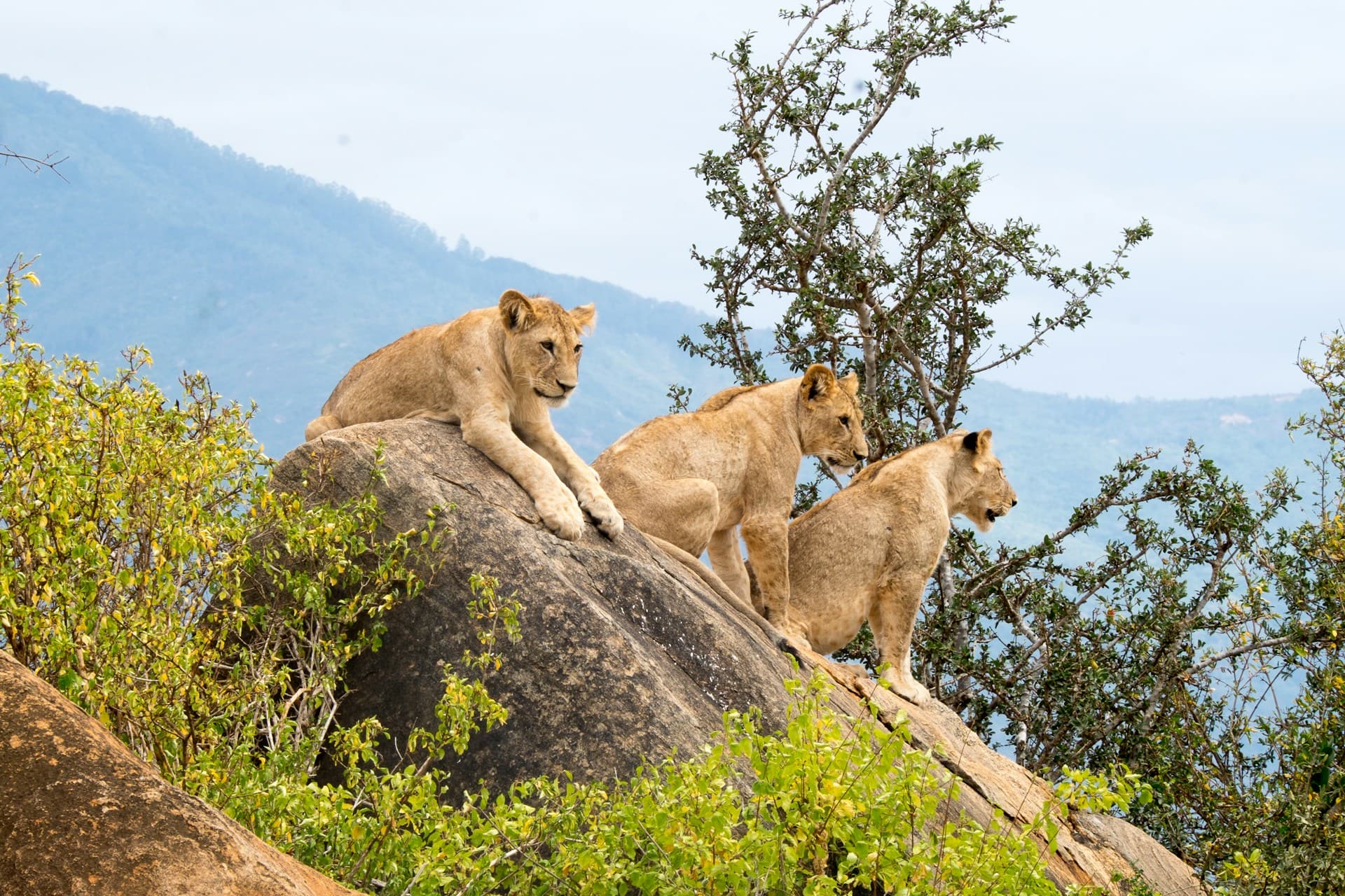 East Africa Tours