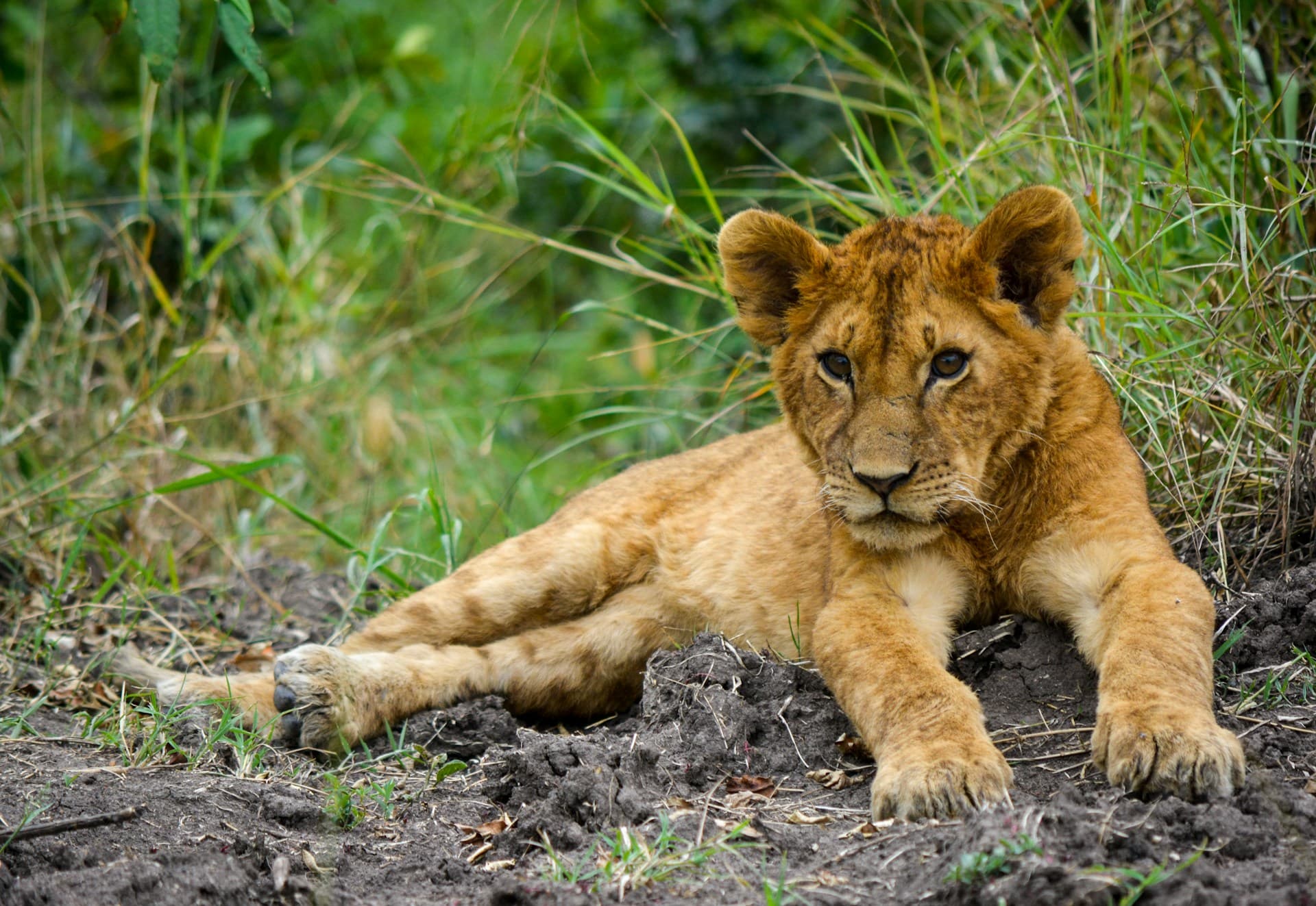 Tanzania