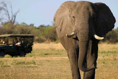 Murchison Falls Adventure — photo 4