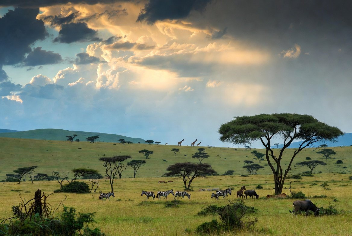 Looking ahead to Kili Fair in Arusha — East Africa's next tourism expo