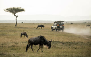 Best safari destinations in Africa