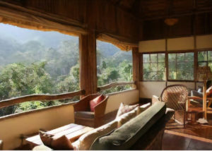 Bwindi Lodge