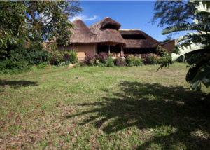 Chimps Nest Lodge