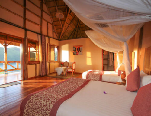 Crater Safari Lodge