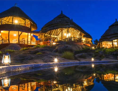 Mihingo Safari Lodge