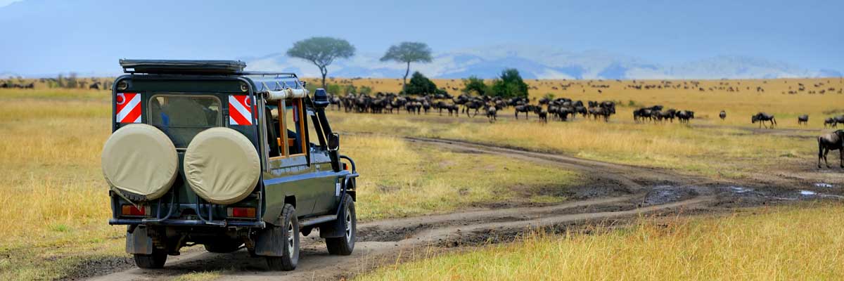 Explore Africa: Visit Uganda, Kenya, Rwanda, Tanzania and Congo