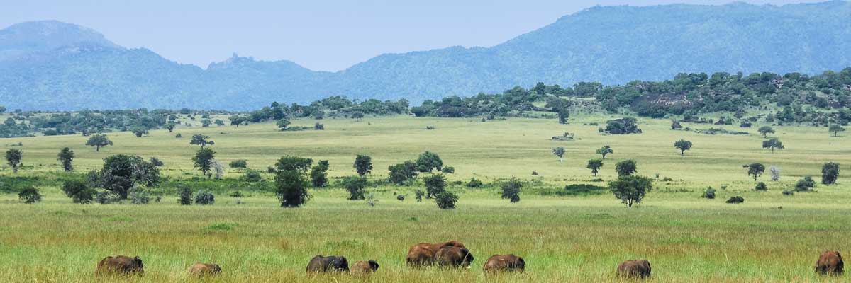 Kidepo Valley National Park, attractions in Kidepo