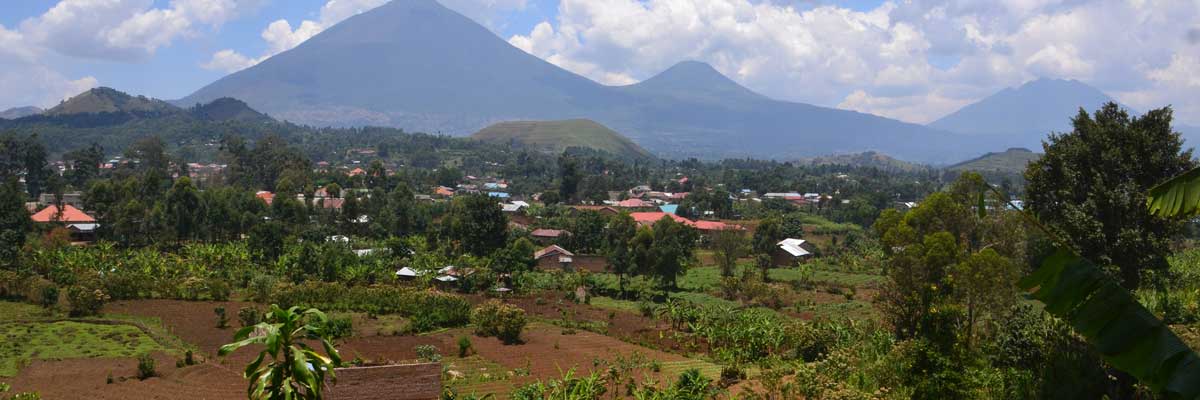 Mgahinga gorilla national park, gorilla & golden monkey destination