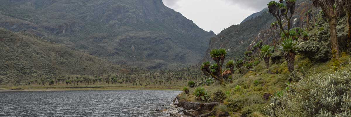 Rwenzori National park