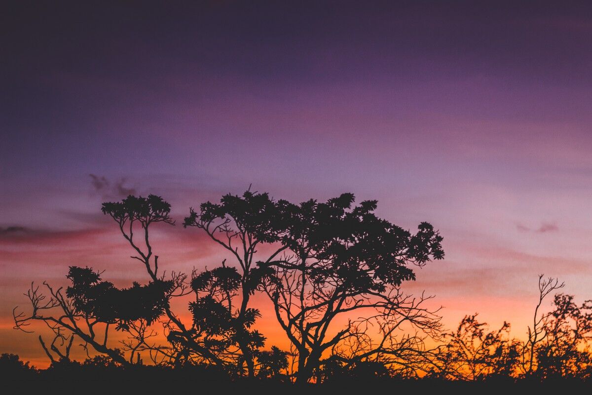 Sunset view of nature