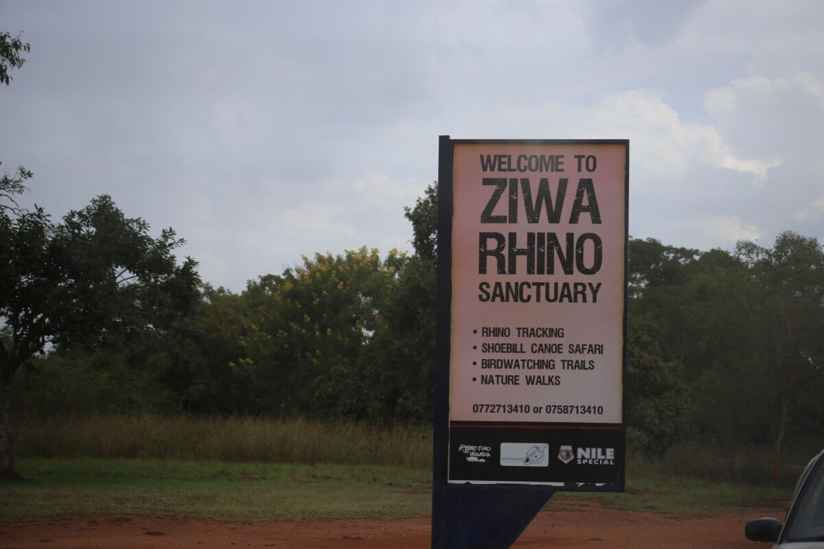 Ziwa Rhino Sanctuary, home to wild rhinos in Uganda, rhino tracking tour