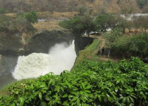 The Murchison Falls