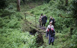 Nature walk safaris